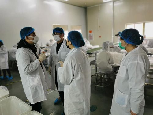 審計助力防疫物資企業(yè)復工復產(chǎn)，福州展現(xiàn)服務溫度